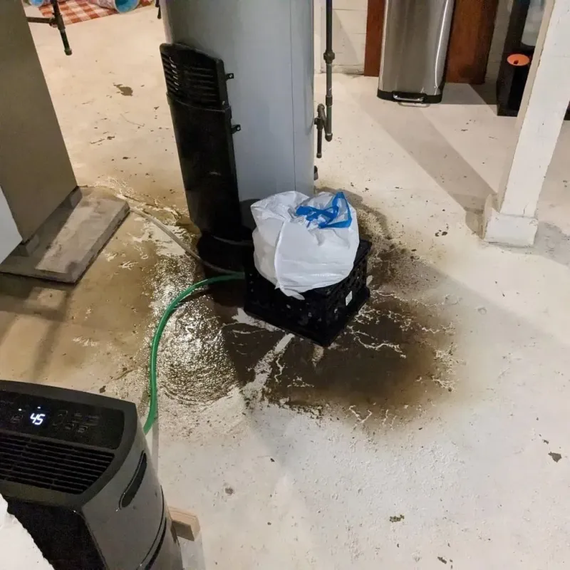 Sewage Backup Cleanup Service in Penn Hills, PA